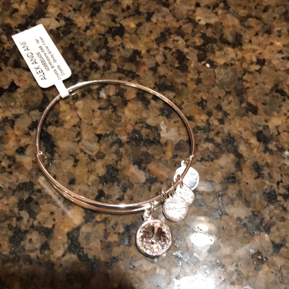 Alex and Ani Silver April